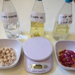 Science activity: predict and weigh